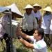 smart farming