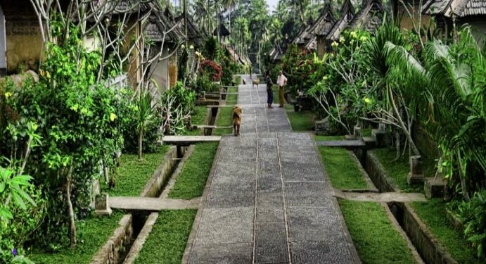 desa wisata