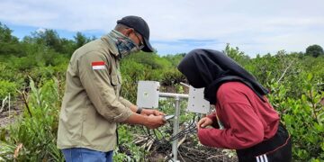 FotoSensor IoT di area Konservasi Laskar Taman Nasional Mangrove Park Bontang
