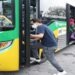 Teman Bus