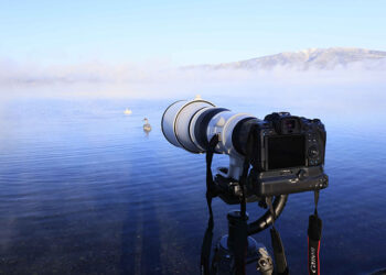 Canon lensa RF