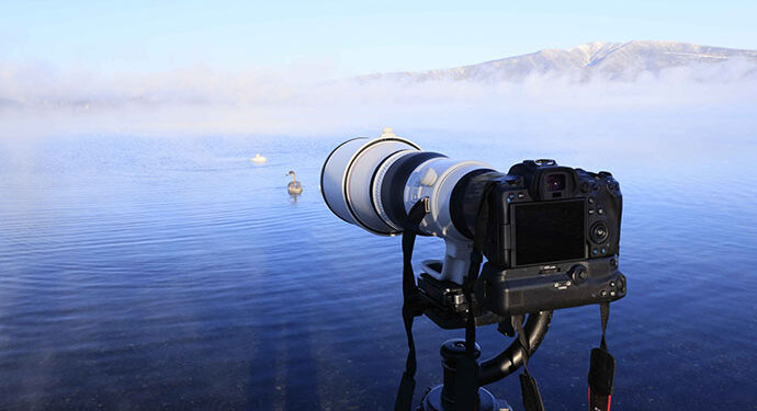 Canon lensa RF