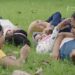 Film Yuni