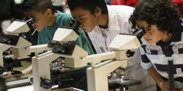 Sains