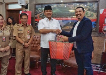 Tumbas.in