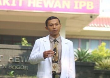 M. Zulfitra Rahmat