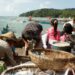 Masyarakat pesisir