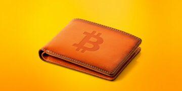crypto-wallet