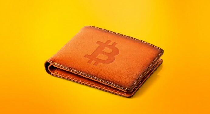 crypto-wallet