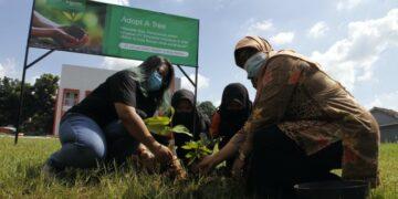 program ‘Adopt a Tree’