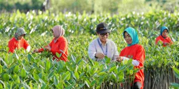 Penanaman Mangrove - PKT
