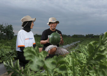 petani milenial