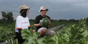 petani milenial