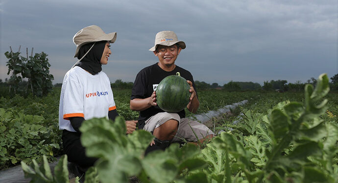 petani milenial
