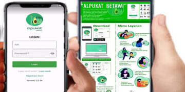 Alpukat Betawi