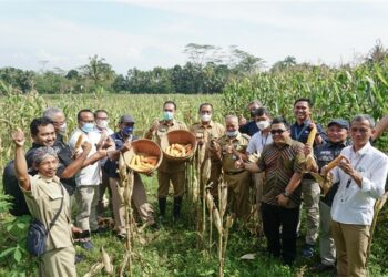 Teknologi untuk digitalisasi petani