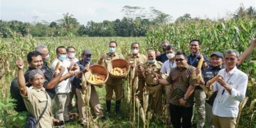 Teknologi untuk digitalisasi petani