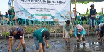 Pandawa Agri Indonesia x Rabo Foundation