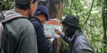 Proyek Konservasi Hutan di Bengkulu