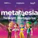 metaNesia