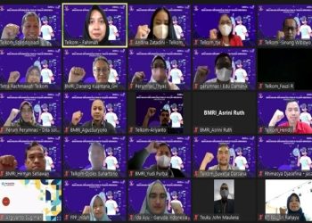 Telkom P3DN