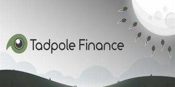 Tadpole Finance jadi Nusa