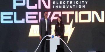 PLN Startup