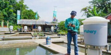 Amartha x eFishery