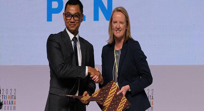 PLN Amazon