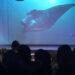 Keep Our Oceans Amazing