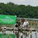 Telkomsel Carbon Offset
