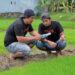 INDICO Digital Contract Farming