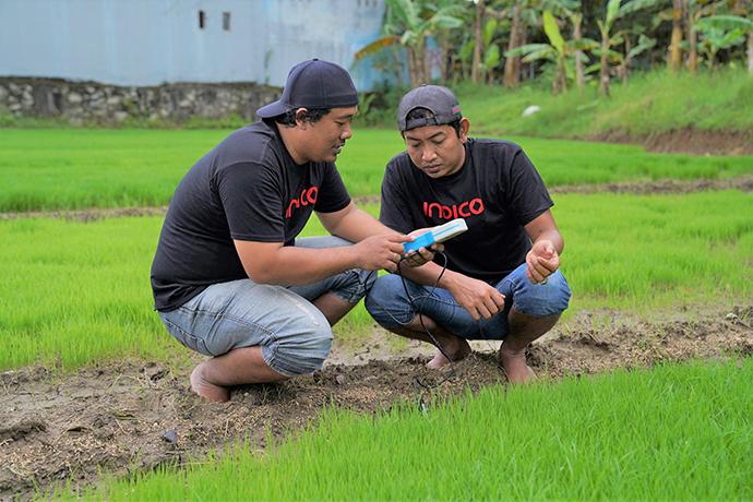 INDICO Digital Contract Farming