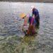 petani rumput laut