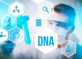 test DNA - Asa Ren