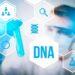 test DNA - Asa Ren