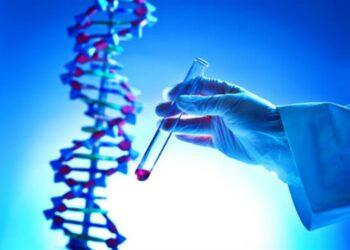 DNA test