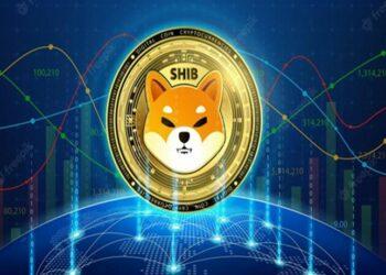 Shiba Inu