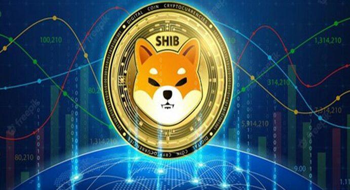 Shiba Inu