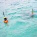 drone bawah laut ARHEA