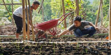 Organisasi Alam Sehat Lestari (ASRI)