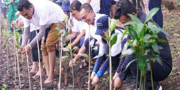 Lazada Penanaman Mangrove