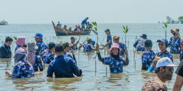 MSIG Mangrove Plantation