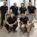 startup rantai pasok Baskit