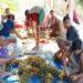 Petani rumput laut Sabu Raijua