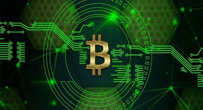 Bitcoin-Cash (BCH)