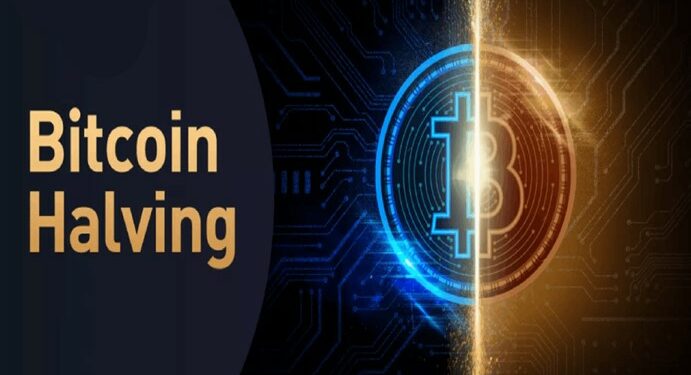 Halving day