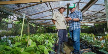 startup agritech Koltiva