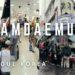 ND Market