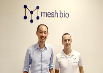 startup Mesh Bio